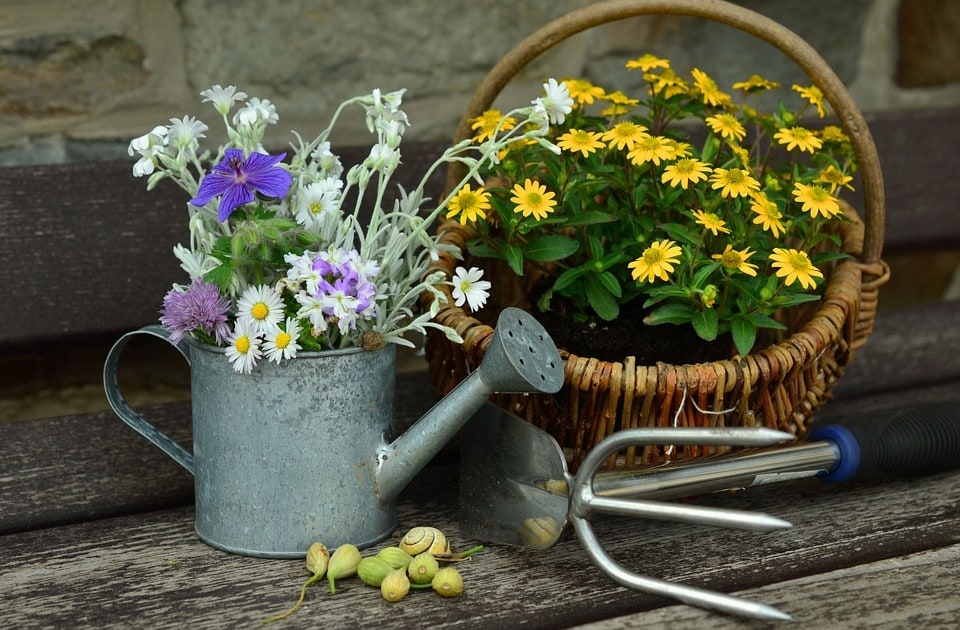 Comment créer un écosystème miniature dans votre jardin ?